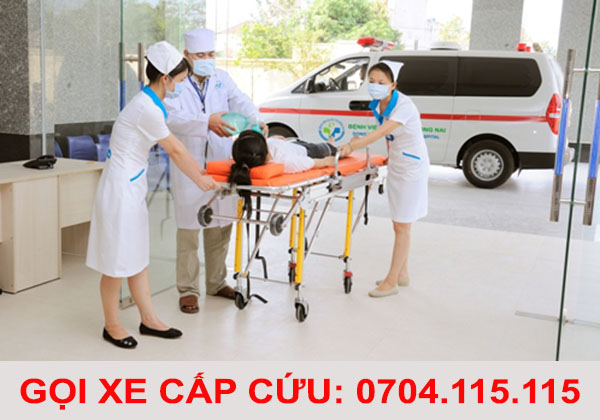 goi xe cap cuu tu dak lak di tphcm 1